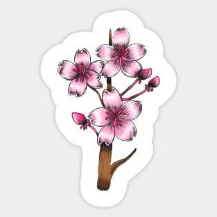 Japanese Cherry Blossom Flowers Sticker